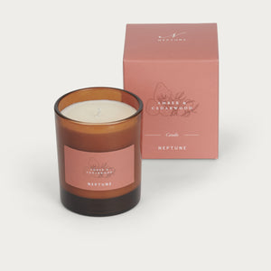 Amber & Cedarwood Candle