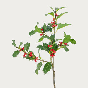 Holly Berry Spray